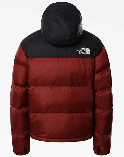 Giubbino The North Face Uomo - Bordeaux