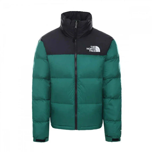 Giubbino The North Face Uomo - Verde